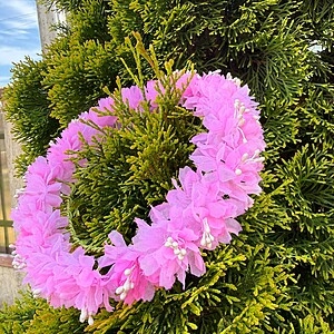 Coroniță florală roz artificială pentru premiere și serbări copii